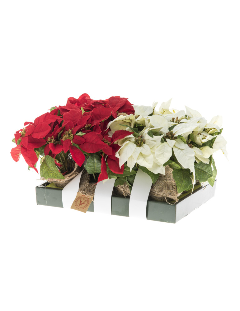 Joulutähti 3-kukan 23 cm