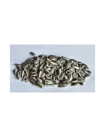 Auringonkukan siemenet 2,5 kg 2