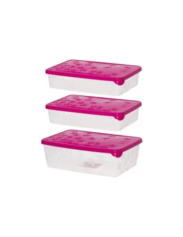 Pakasterasiat 2x0,9 l ja 1,35 l Marjukka