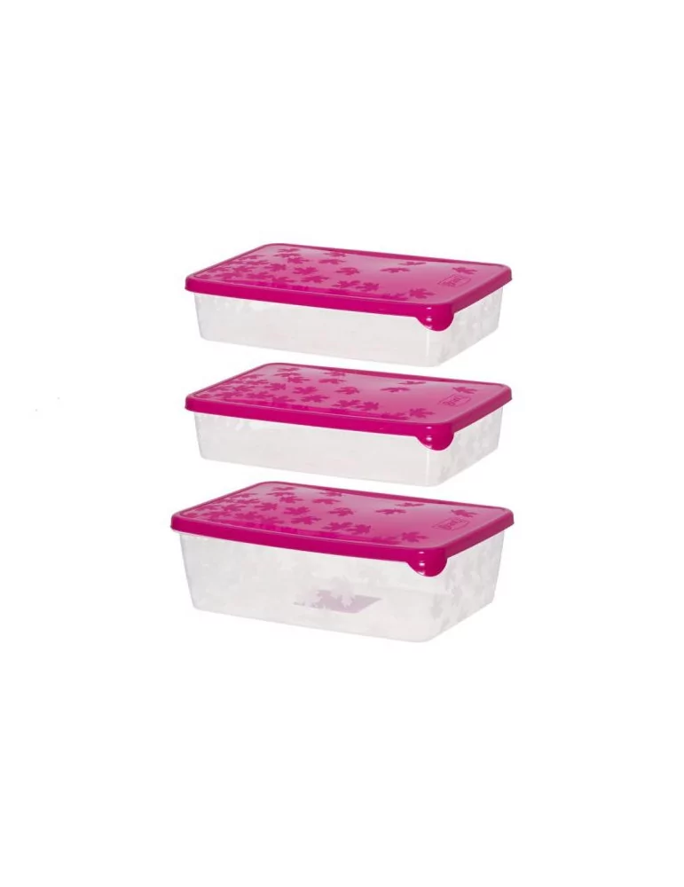 Pakasterasiat 2x0,9 l ja 1,35 l Marjukka