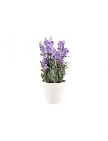 Laventeli 26 cm 4Living 2