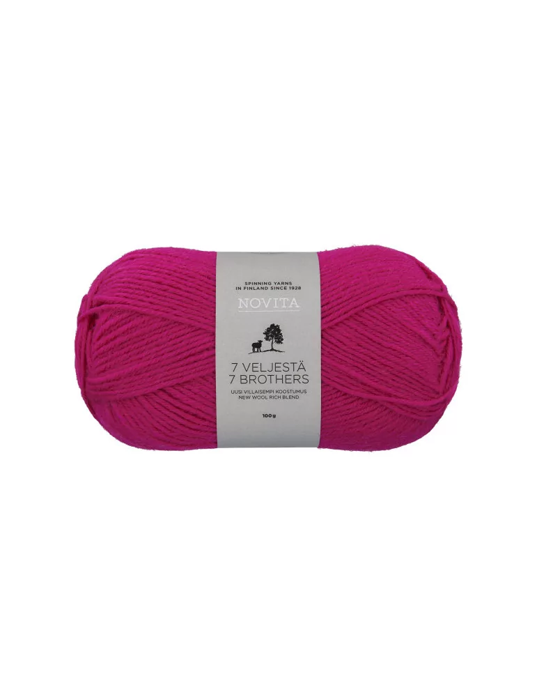 7 Veljestä 100g 500 vappu Novita