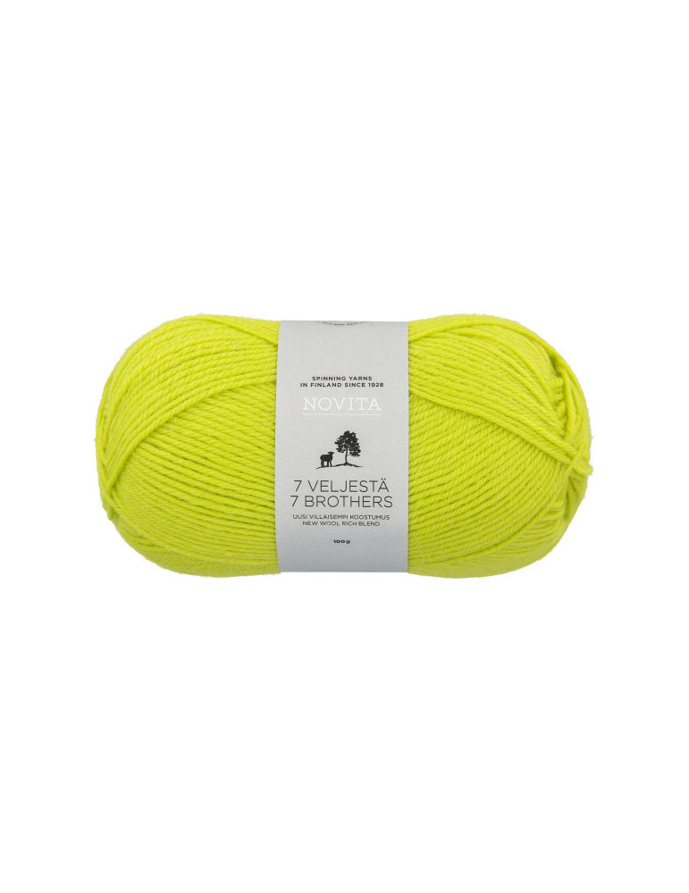 7 Veljestä 100g 323 taikuri Novita