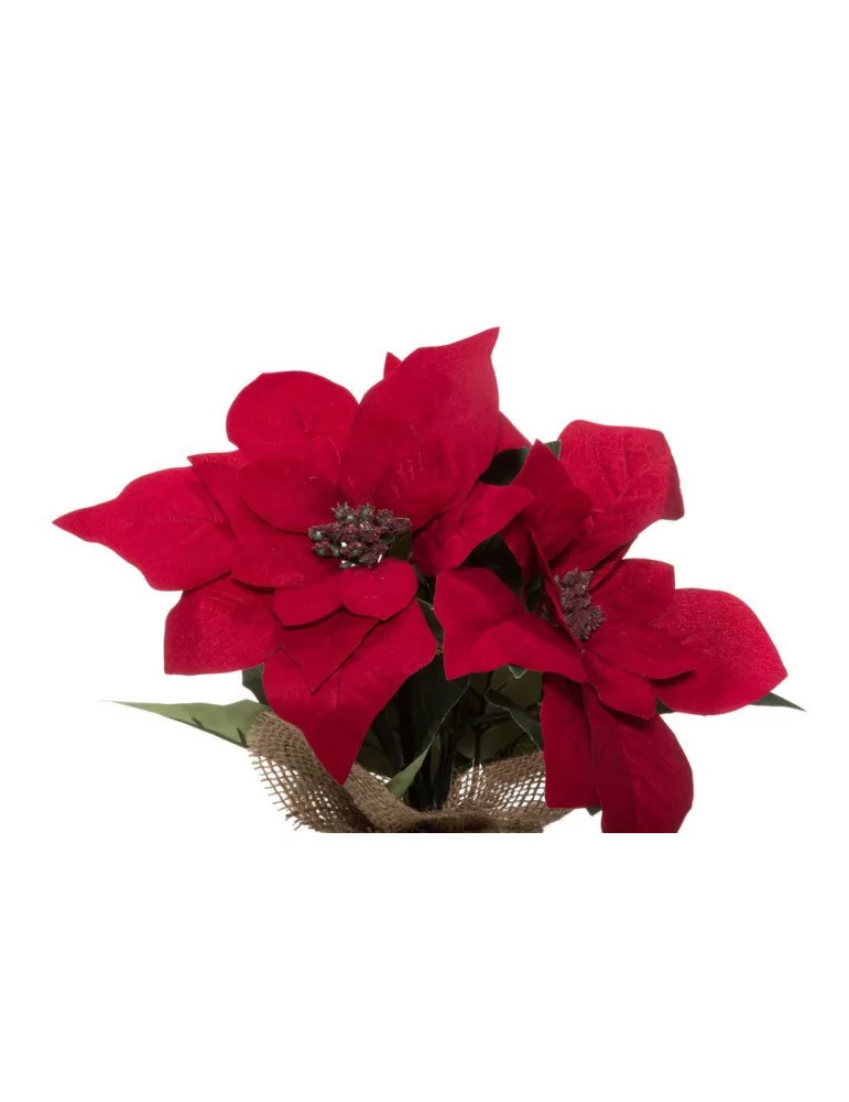 Joulutähti 3-kukan 25 cm punainen Winteria