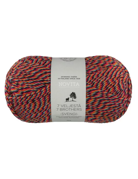 7 veljestä Svengi karnevaali 8221