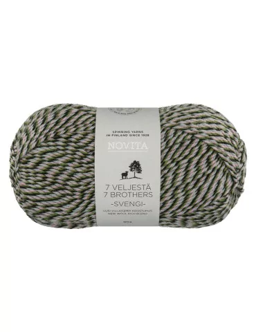 7 veljestä Svengi karuselli 8231