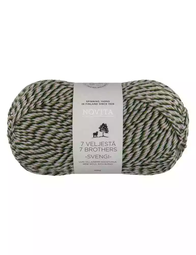 7 veljestä Svengi karuselli 8231