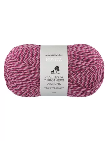 7 veljestä Svengi Mehujää 8131