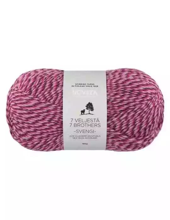 7 veljestä Svengi Mehujää 8131